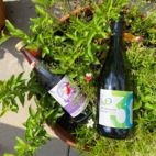 Eine Kolle-Mate Flasche und eine Flasche Jubiläumssecco der VG