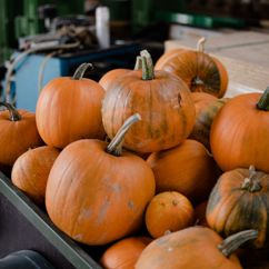 Kürbisse auf Anhänger