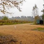 Blick auf eine Anlage mit Heidelbeerbüschen
